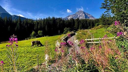 Wander-Erlebnis Höhenweg Silener Berge