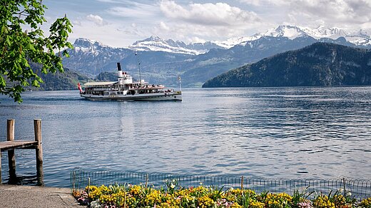 Rigi Rundreise