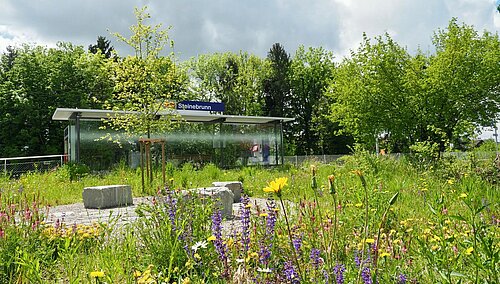 Bild des aufgewerteten Bahnhofs Steinebrunn