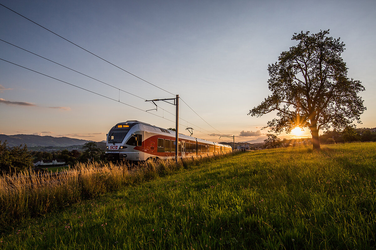 Fahrplanwechsel 2024 So verkehren die Züge künftig am Obersee