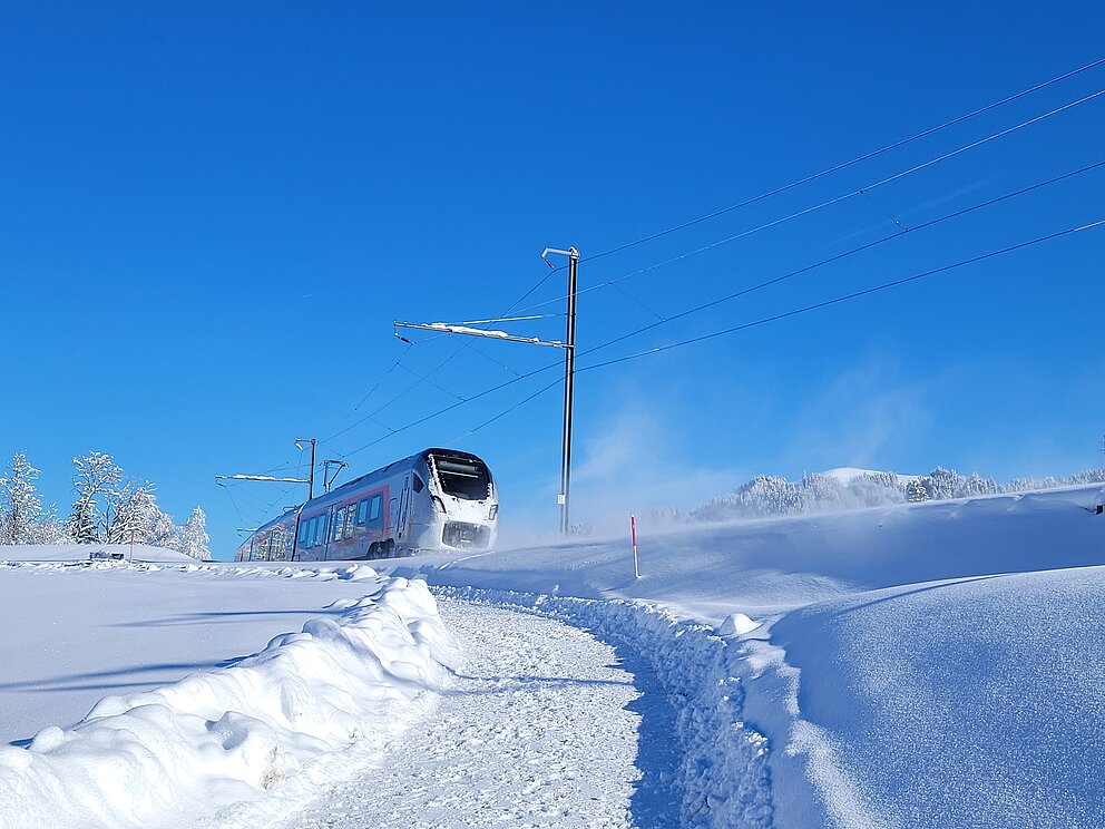 Ein Flirt unterwegs im Schnee.