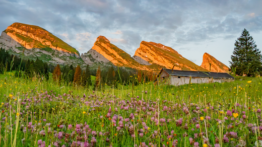 Erlebnis Churfirsten-Rundreise mit Ch&auml;serrugg