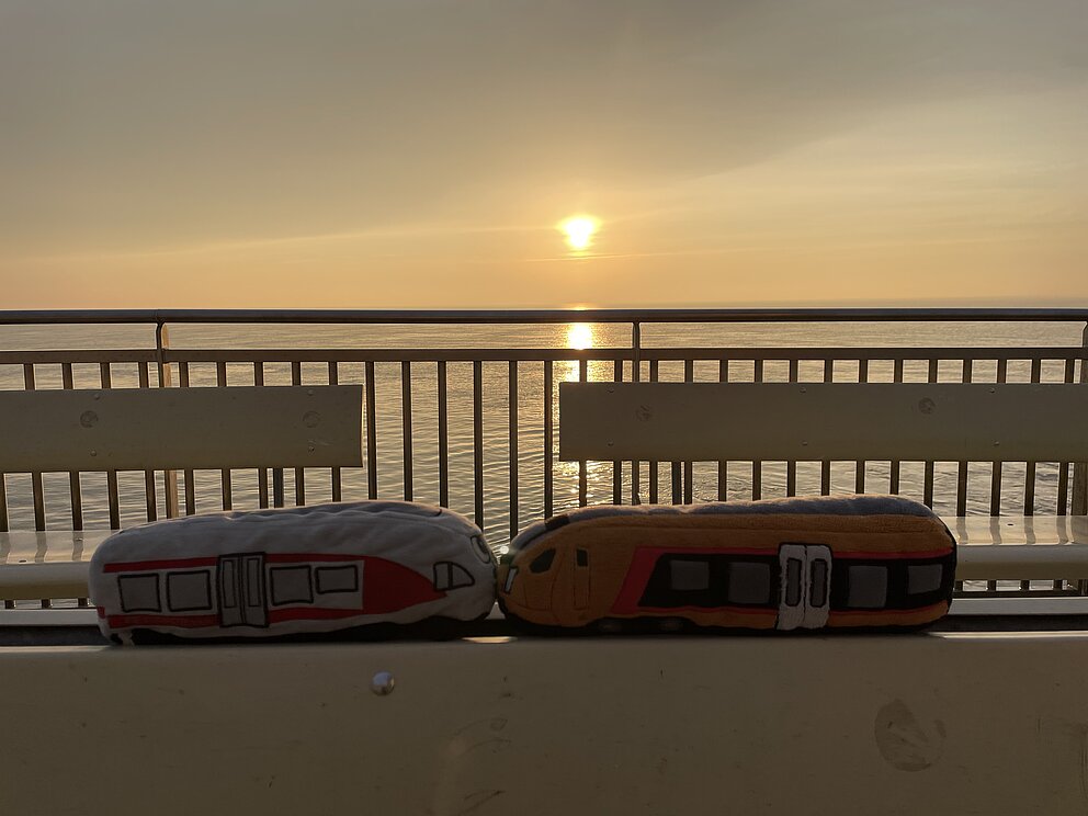 FLIRTY+Travlino Kuscheltiere im Wattenmeer im Sonnenaufgang 