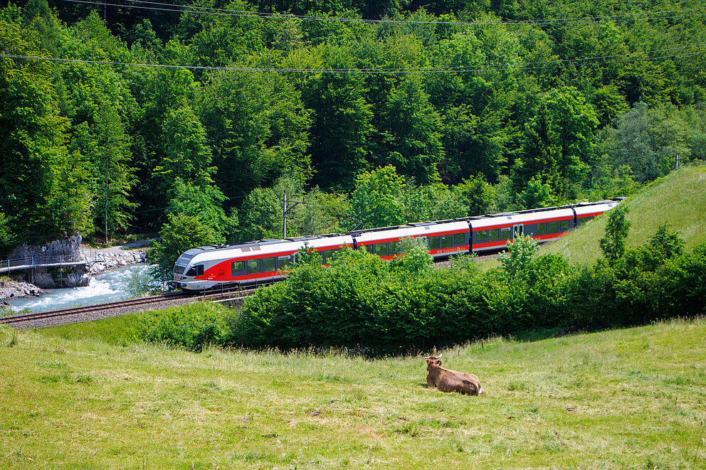 Wettbewerb-Bild: Zug aus der Ferne
