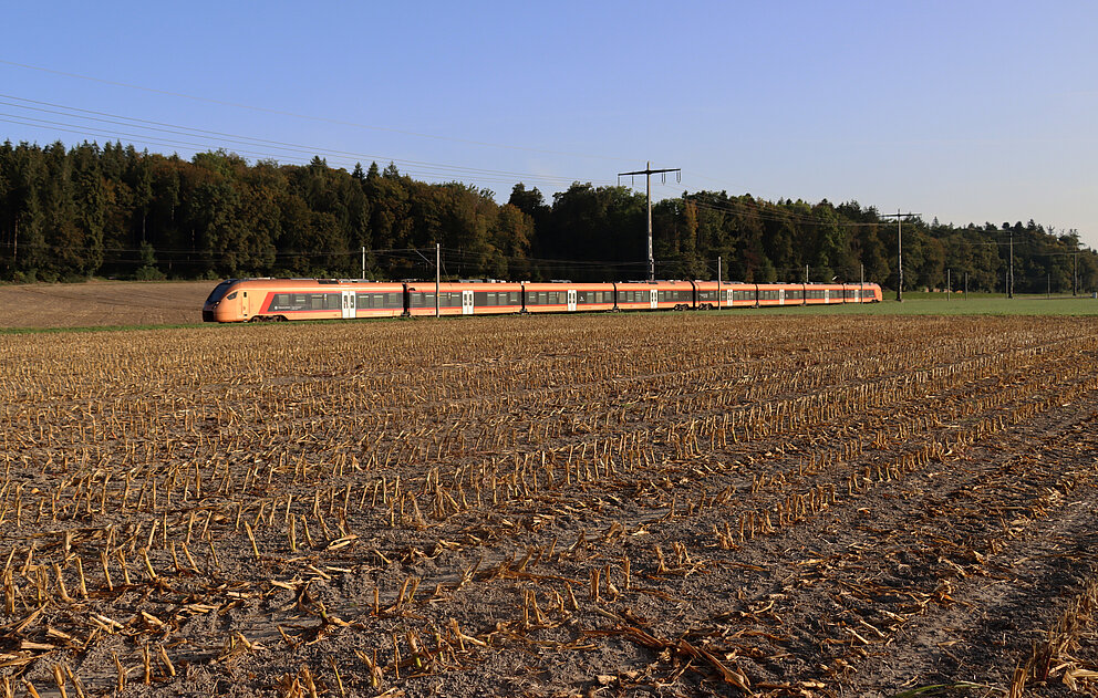 Traverso in der Morgensonne zwischen den Stoppelfeldern. 